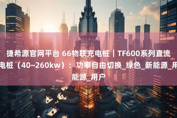 捷希源官网平台 66物联充电桩｜TF600系列直流充电桩（40~260kw）：功率自由切换_绿色_新能源_用户