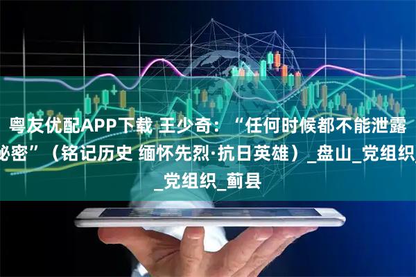 粤友优配APP下载 王少奇：“任何时候都不能泄露党的秘密”（铭记历史 缅怀先烈·抗日英雄）_盘山_党组织_蓟县